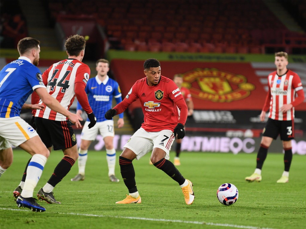 但球员之间 但球员之间